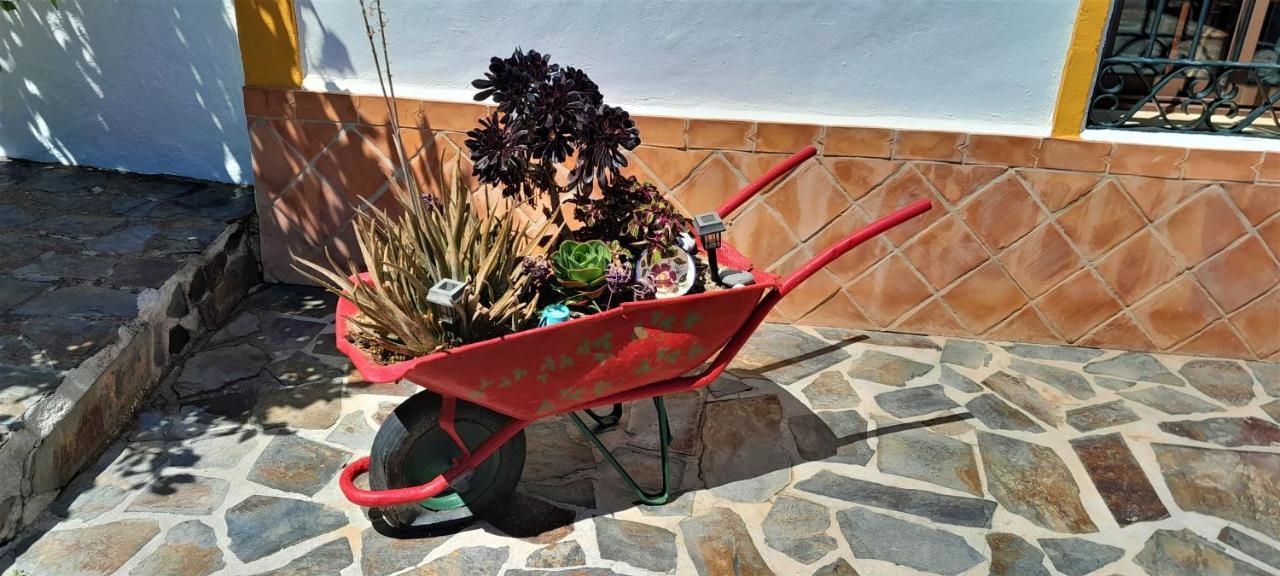 Villa Bella Sirena Nerja Exterior foto
